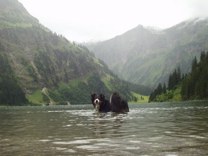 Selwyn_2007_07_11_22