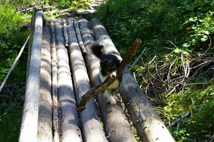 Selwyn_2007_07_13_13