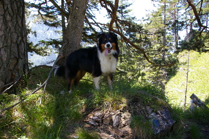 Selwyn_2007_07_13_20