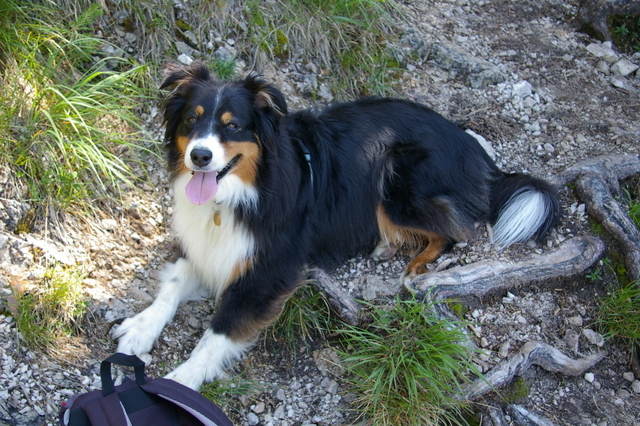 Selwyn_2007_07_13_40_gro