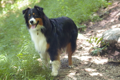 Selwyn_2007_07_13_49