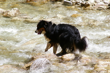 Selwyn_2007_07_13_58