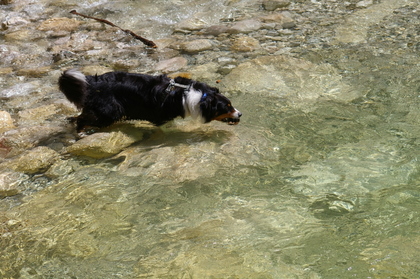 Selwyn_2007_07_13_59