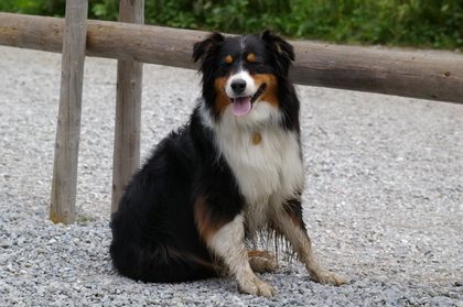 Selwyn_2007_07_22_27