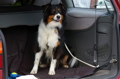 Selwyn_2007_07_22_32