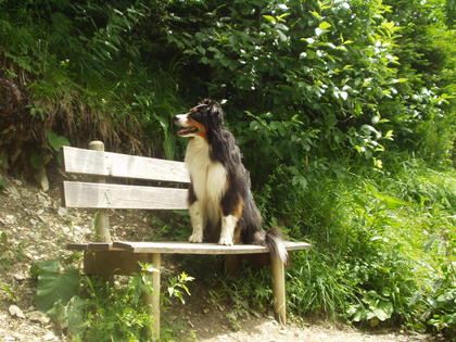 Selwyn_2008_07_03_01