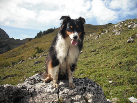 Selwyn_2009_09_27_01