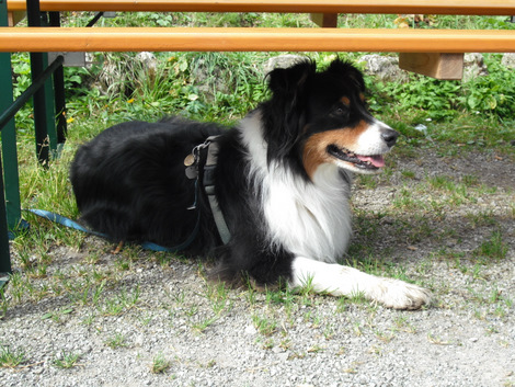 Selwyn_2009_09_27_02