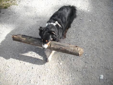 Selwyn_2009_09_28_01