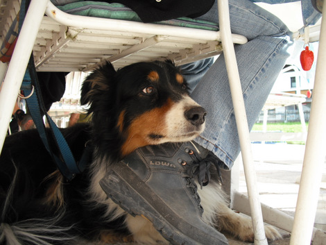 Selwyn_2009_09_29_02