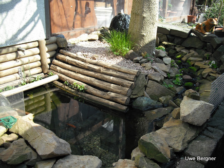 Teich_01