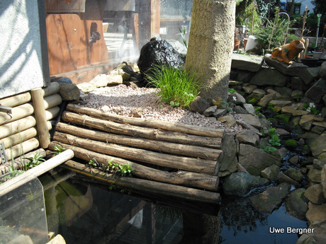 Teich_02