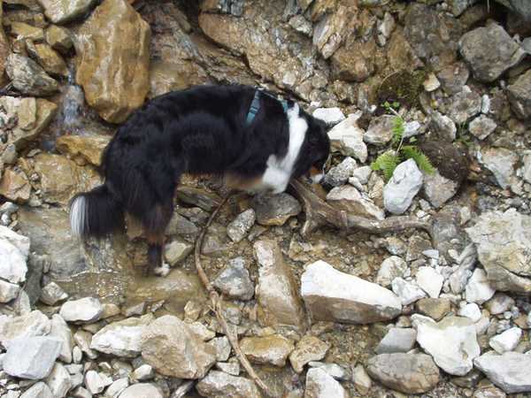 Nesselwngle_Edenalpe_11