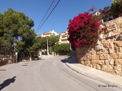 Sa_Bruta_09_06_2016_12