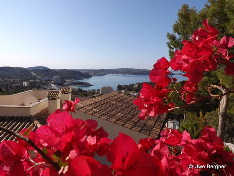 Sa_Bruta_09_06_2016_13