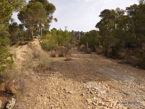 Sa_Bruta_09_06_2016_15