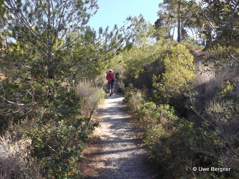 Sa_Bruta_09_06_2016_16