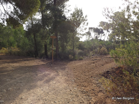 Sa_Bruta_09_06_2016_18