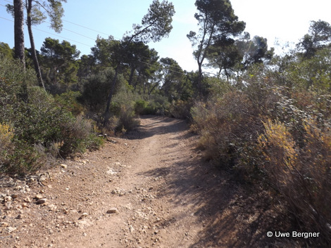 Sa_Bruta_09_06_2016_19