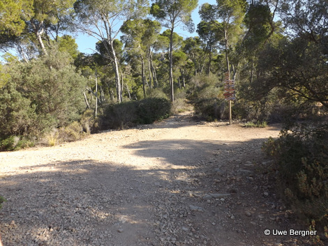 Sa_Bruta_09_06_2016_20