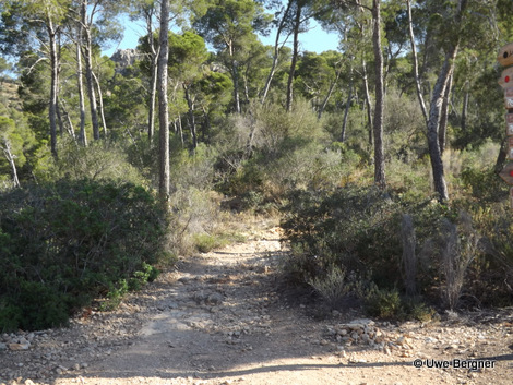 Sa_Bruta_09_06_2016_22