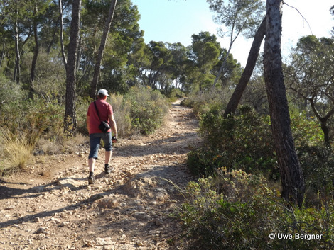 Sa_Bruta_09_06_2016_23