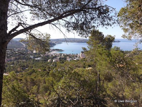 Sa_Bruta_09_06_2016_24