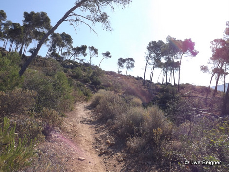 Sa_Bruta_09_06_2016_26