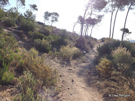 Sa_Bruta_09_06_2016_27