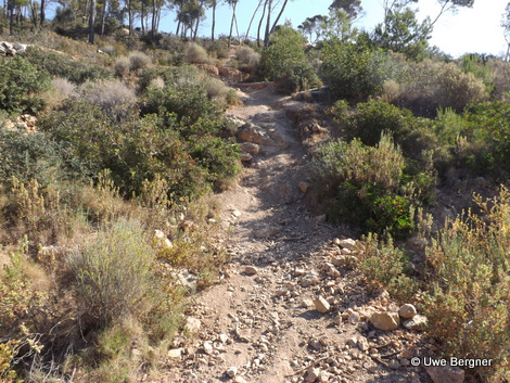 Sa_Bruta_09_06_2016_28