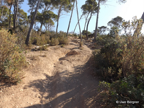 Sa_Bruta_09_06_2016_29