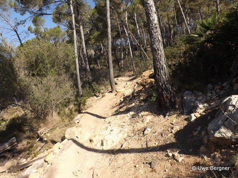 Sa_Bruta_09_06_2016_30