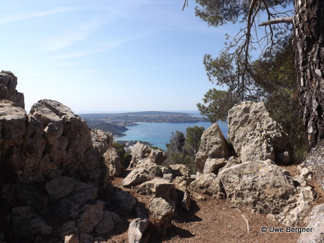 Sa_Bruta_09_06_2016_32