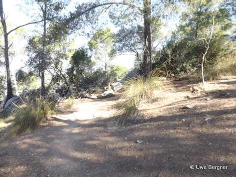 Sa_Bruta_09_06_2016_36