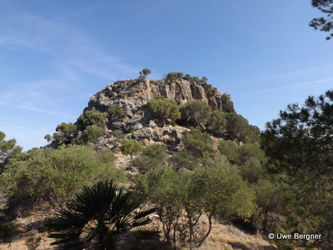 Sa_Bruta_09_06_2016_38