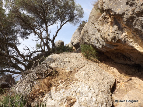 Sa_Bruta_09_06_2016_39