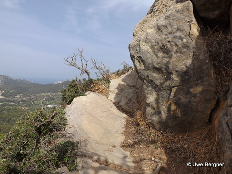 Sa_Bruta_09_06_2016_40