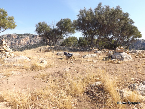 Sa_Bruta_09_06_2016_41