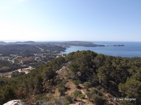 Sa_Bruta_09_06_2016_44