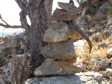 Sa_Bruta_09_06_2016_47