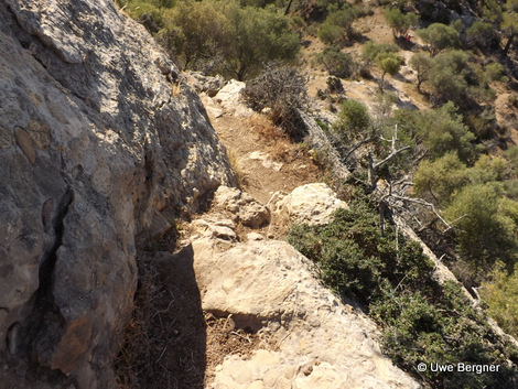 Sa_Bruta_09_06_2016_48