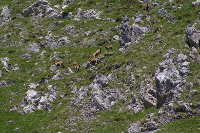 2007_07_17_25_Tannheim_Vilsalpsee