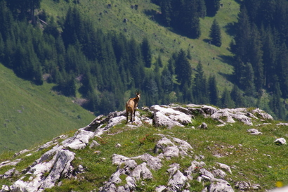 2007_07_17_26_Tannheim_Vilsalpsee